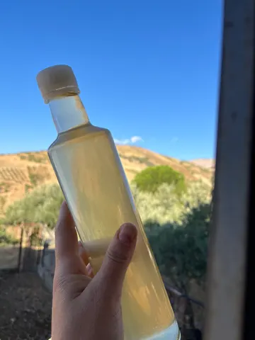 ماء الزهر — من كرومنا