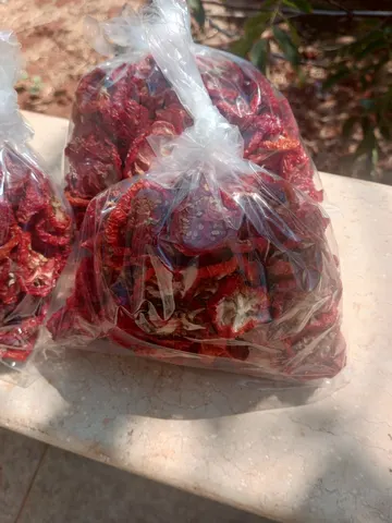 بندورة مجففة