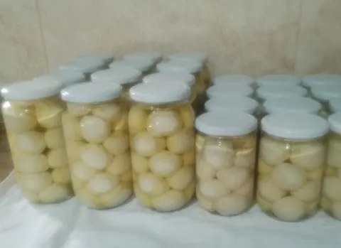 كشك أخضر