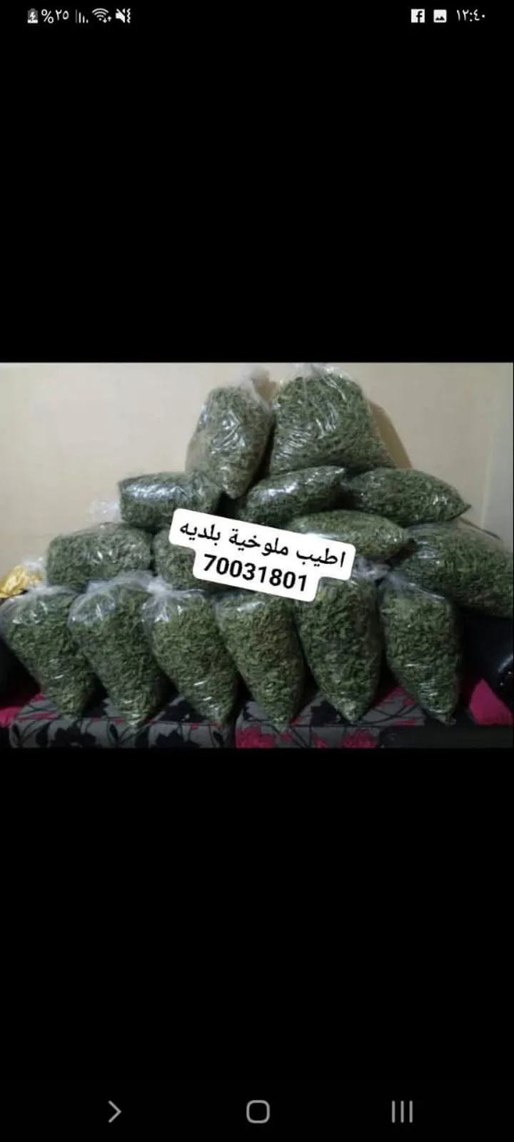 ملوخيه ملوكيه — مونة سارة