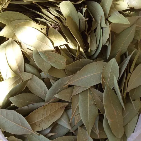 ورق غار ميّبس — مونة وبَركة