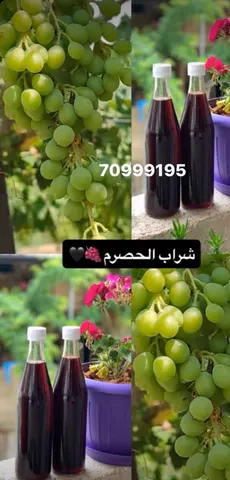 حامض الحصرم — Dirani Fouds