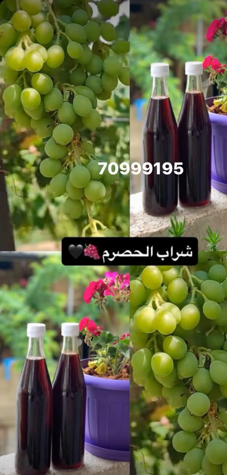 حامض الحصرم — Dirani Fouds