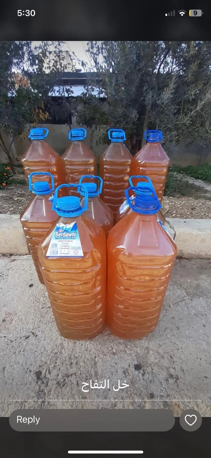 خل تفح — Dirani Fouds