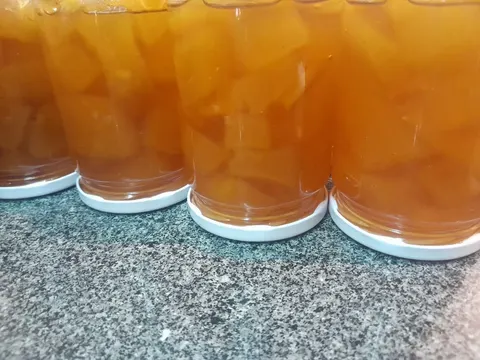مربى اللقطين — mounet yara
