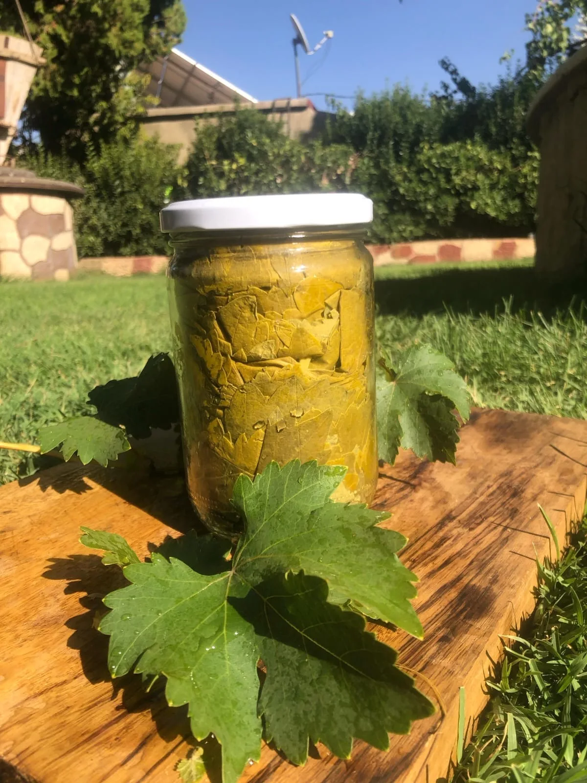 ورق عنب — mounet yara