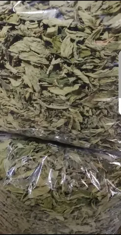 ملوخية ناشفة حبشية منقاية — mounet yara