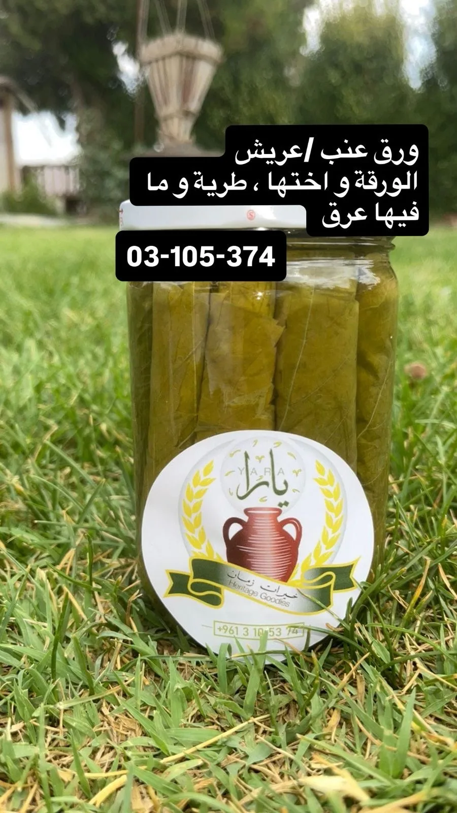 ورق عريش بالماي — mounet yara