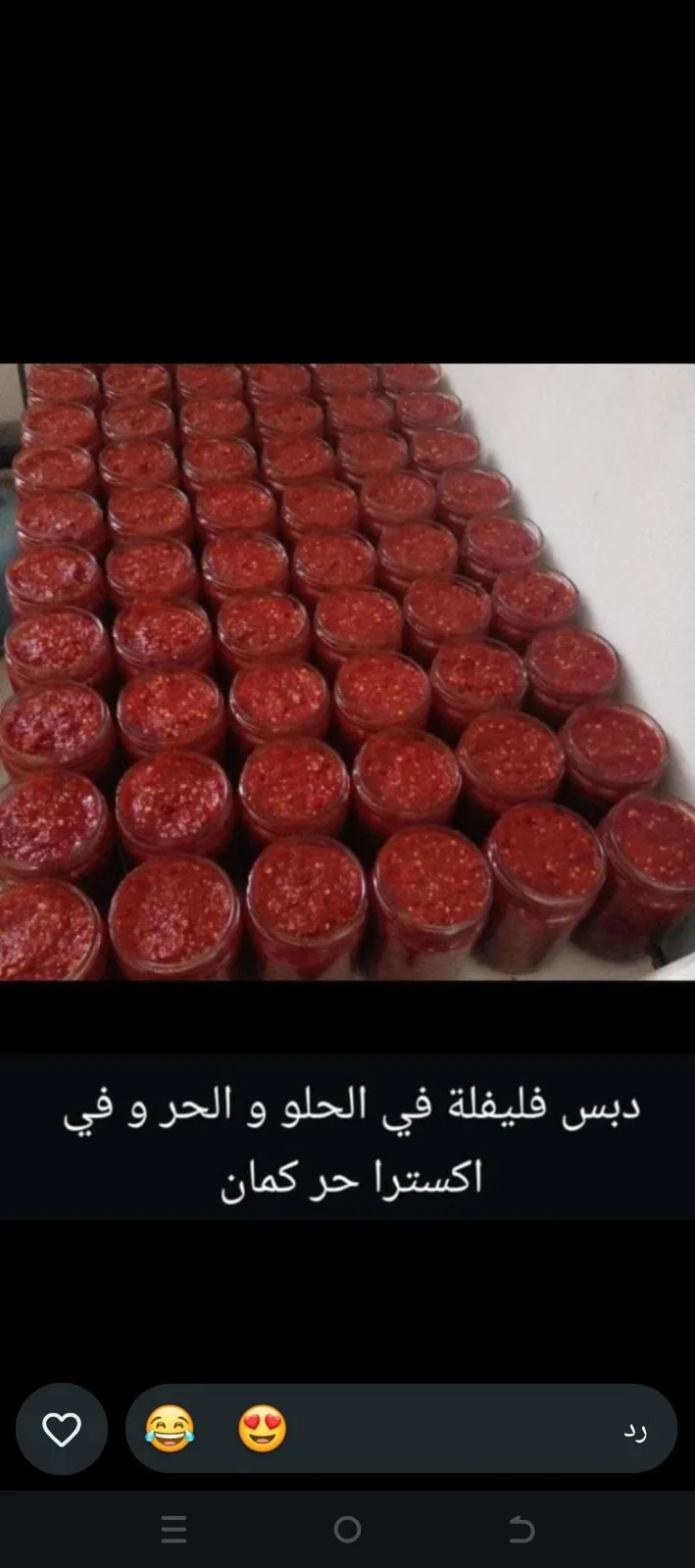 دبس فليفلة — صفاء حولا