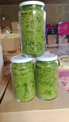 ورق عنب — مونة حلم صغير