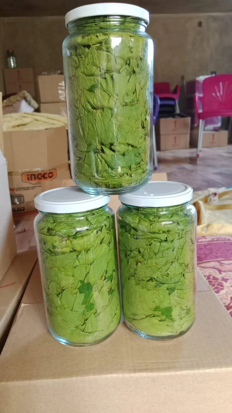 ورق عنب — مونة حلم صغير
